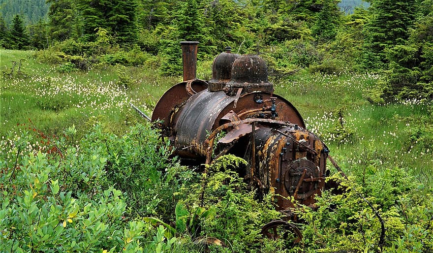 vonat, motor, elhagyatott, vasúti, rét, rozsdás, régi, megrongált, vidéki táj, fű, tanya