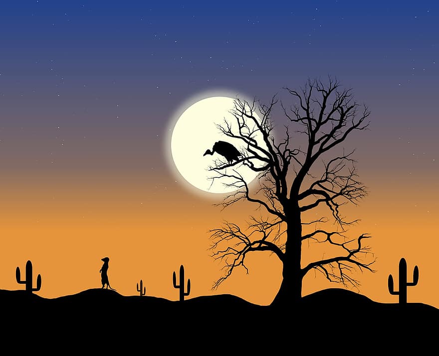 woestijn, maan, cactussen, silhouet, landschap, adelaar, natuur, hemel, nachttijd