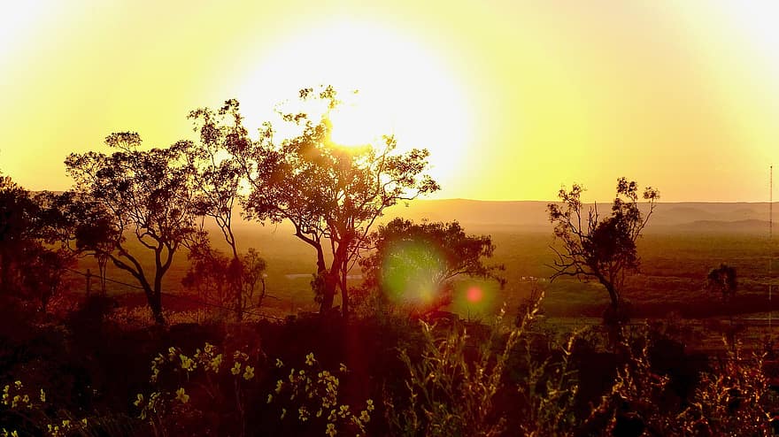träd, solnedgång, Australien, landskap