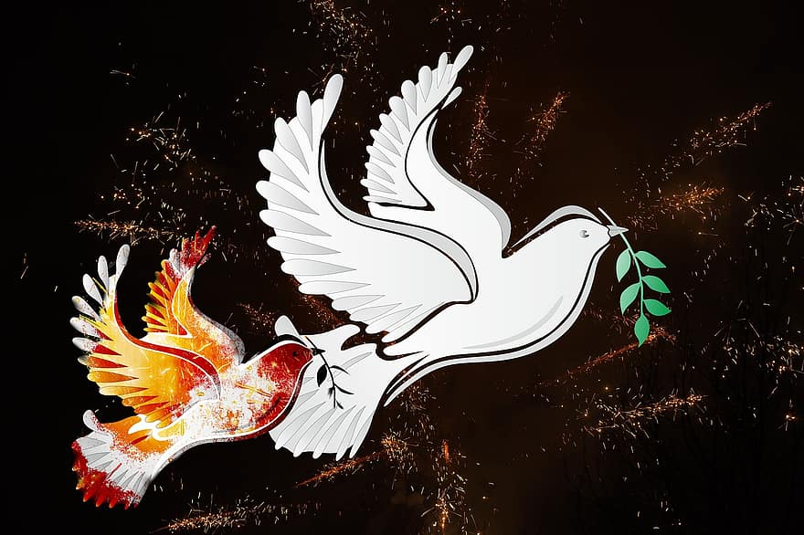 chim bồ câu hòa bình, Cứu giúp, giải cứu, mong, nổ, Yếu, Sự thanh bình, bay, hình minh họa, vectơ, trừu tượng