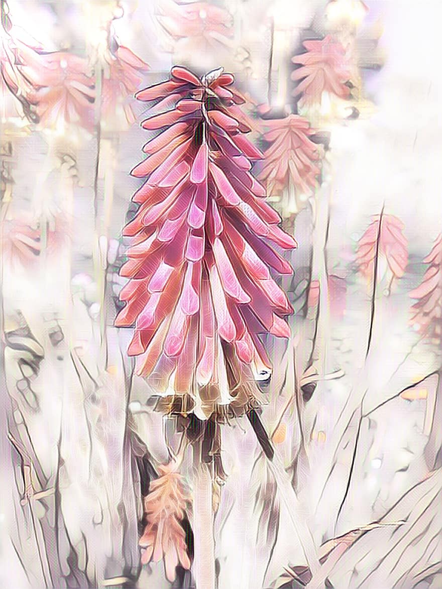 Fackelille, Rakete Blume, digitale Zeichnung, Rosa, Pastellfarbe