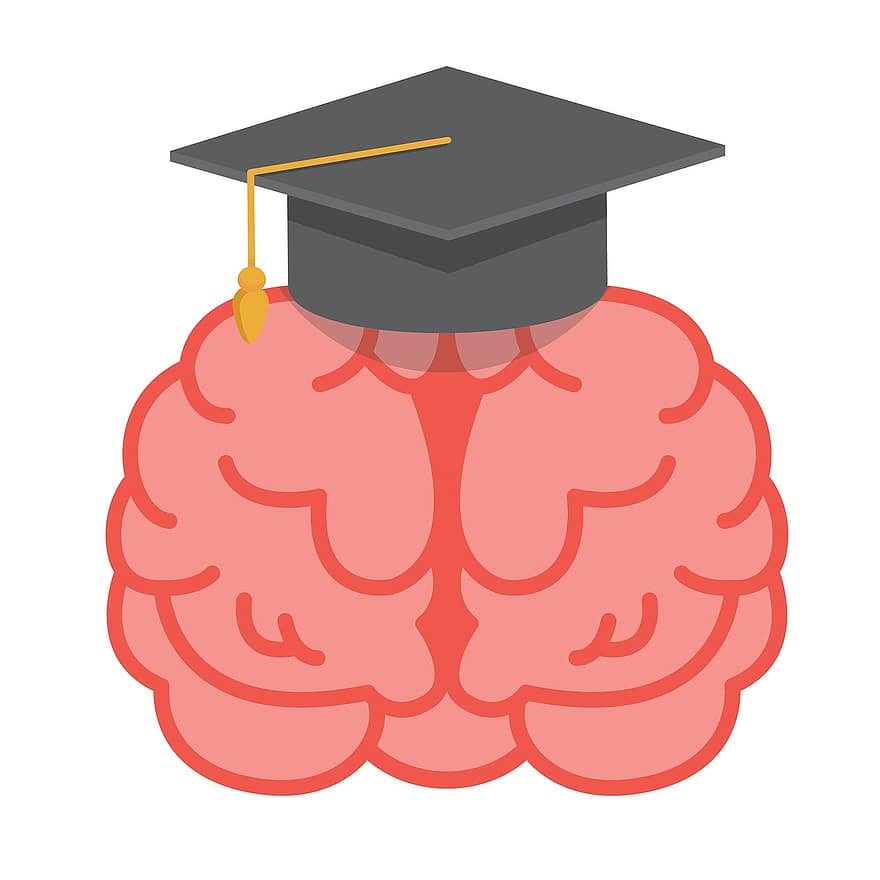 мозък, умен, мисъл, скъп, шапки, интелигентност, графична колекция, карикатура, деца, медийни класове