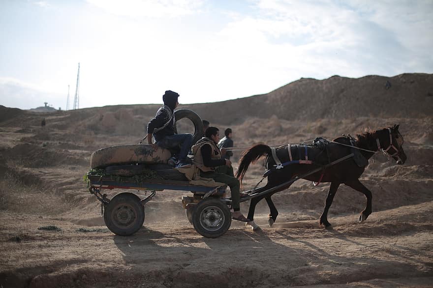 Pferd, Wagen, Ausflug, Reise, Dünen, Gaza