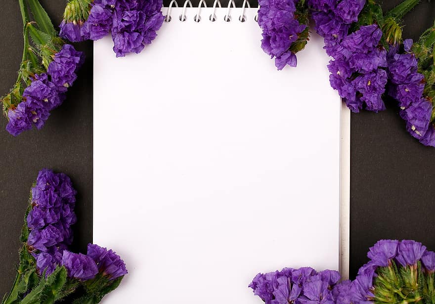 花のフレーム、紫色の花、ノート、平干し、装飾的なフレーム、花の組成、はがき、装飾、バックグラウンド、グリーティングカード
