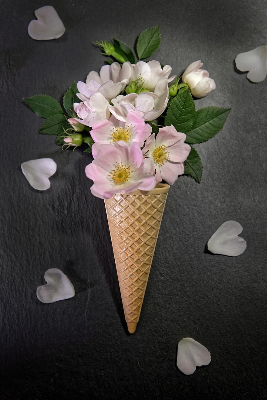 цветы, рожок мороженого, шиповник, лепестки, весна, мороженое, цветение