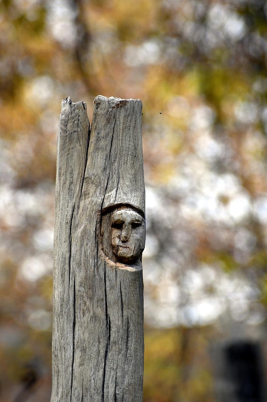 लकड़ी की मूर्तिकला, पार्क, प्रदर्शनी, युद्ध के चेहरे, शहीद स्मारक