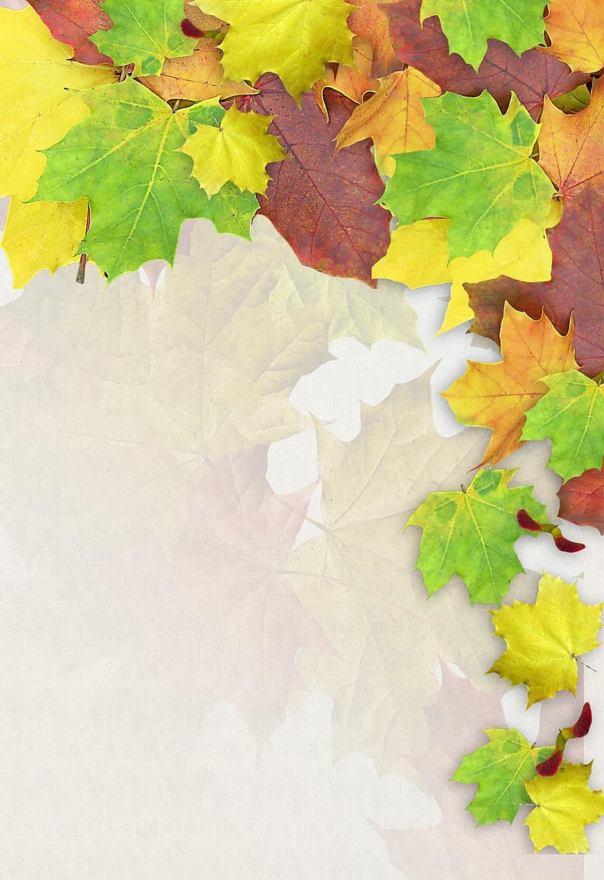bladeren, kleurrijk, herfst, schrijfbehoeften, decoratie, achtergrond, opduiken
