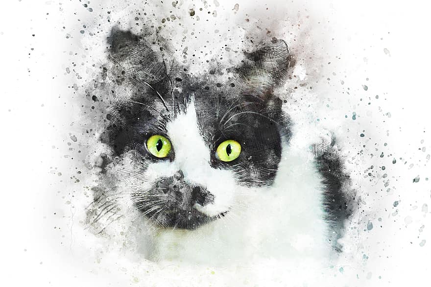 Cat, Pet, Art, Abstract, Watercolor, Vintage, Kitty, Artistic, Animal, Design, T-shirt