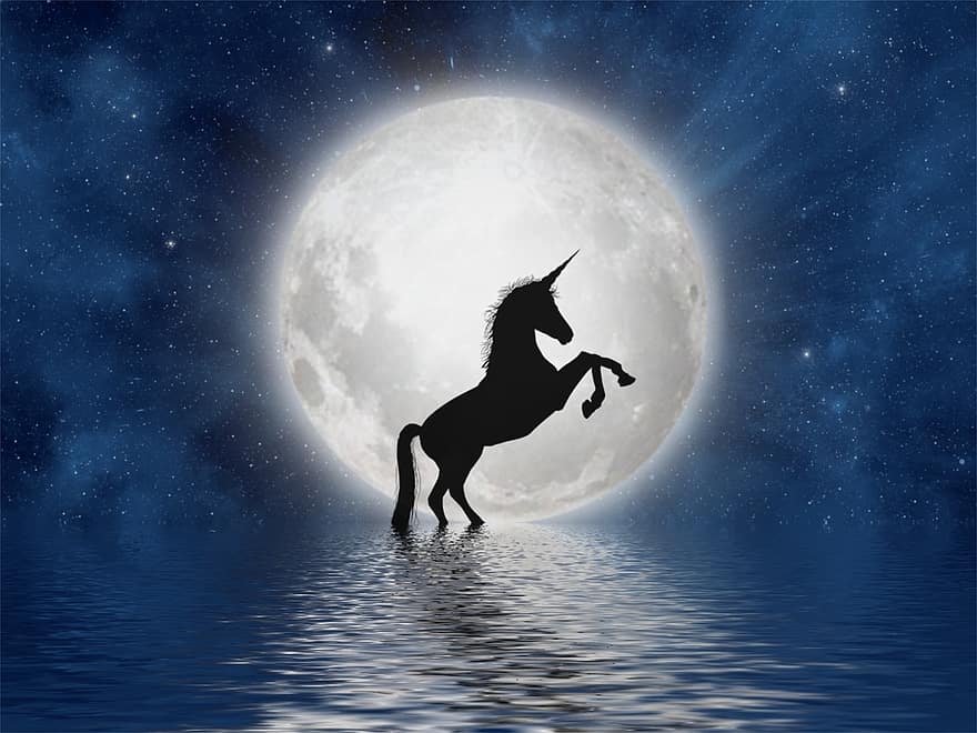 Unicorn, Moon, Full Moon, Silhouette, Night, Star, Sky, Reflection, Brightness