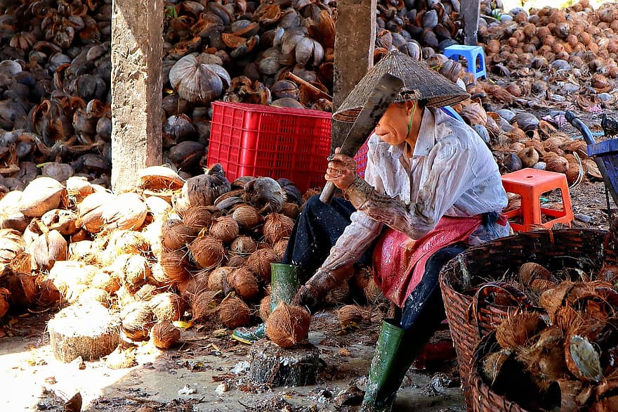vietnam, fabrikk, mekong elv, kokosnøtt, kvinne, arbeiterinportrait, machete