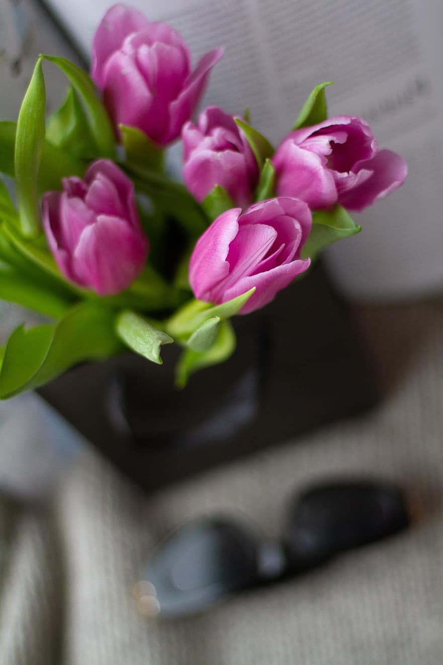 tulip, bunga-bunga, buket, bunga-bunga merah muda, hadiah, tas hadiah, seikat bunga