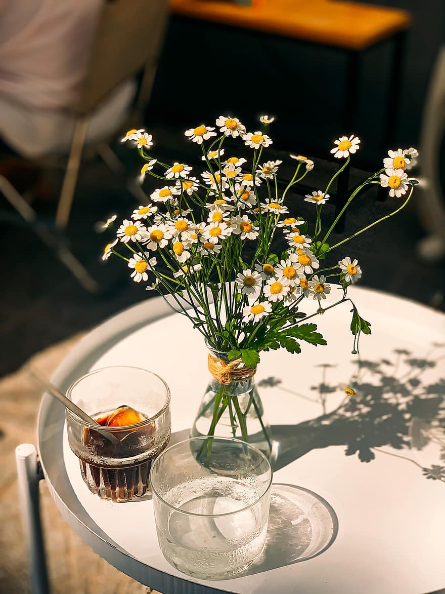 λουλούδια, καφές, βάζο λουλουδιών, λουλούδι, τραπέζι, βάζο, καλοκαίρι, γκρο πλαν, φρεσκάδα, φυτό, κίτρινος