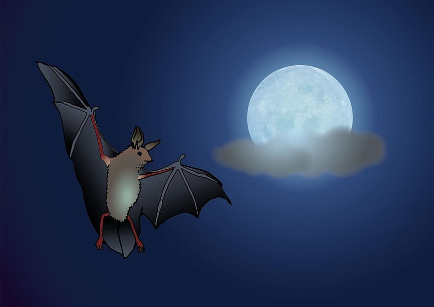 박쥐, 달, 밤, 구름, 월광, 동물, 어두운, 분위기, 기묘한, 신비로운, 신비한