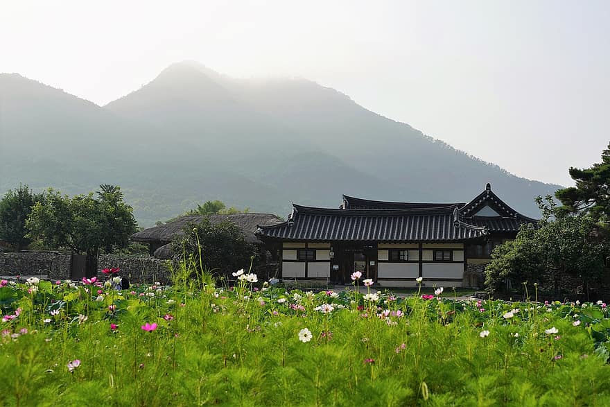 korea, tradition, seoul, traditionell, kultur, natur, vår, resa, hanok, korean, kakelhus