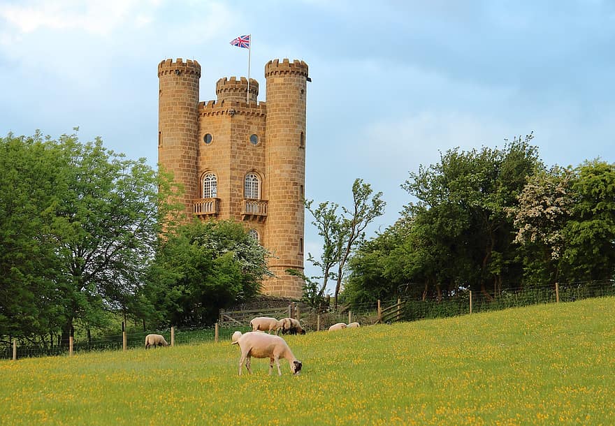 kasteel, toren, schapen, weide, mijlpaal, gras, landelijke scène, architectuur, zomer, farm, groene kleur