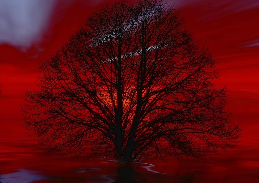 дерево, Кал, озеро, море, волна, мистический, красный