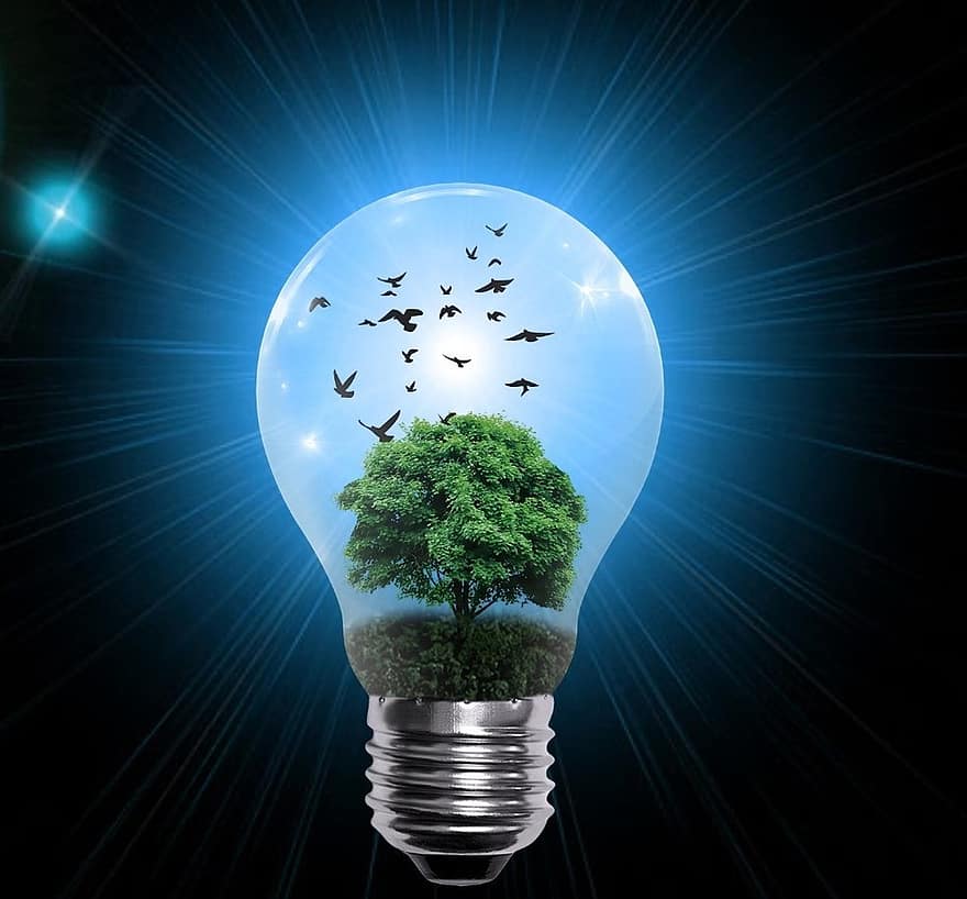 Lamp, Blue Light, Bulb, Nature, Tree, Green, Green Energy, Horizon, View, Drill, Opening