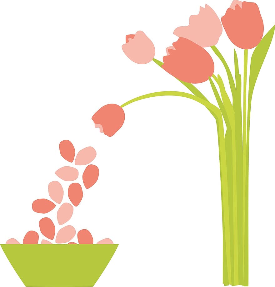 цветок, тюльпан, лепесток, стебель, миска, падение, персик, розовый, оранжевый, зеленый, Лайм