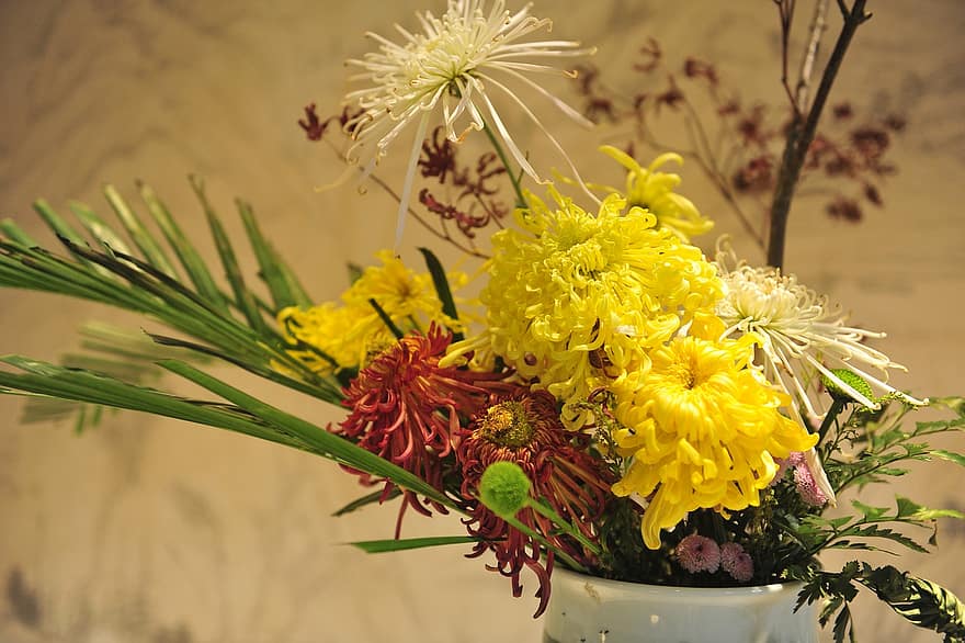 květiny, chryzantéma, jaro, květ, váza, rostlina, žlutá, letní, detail, kytice, list