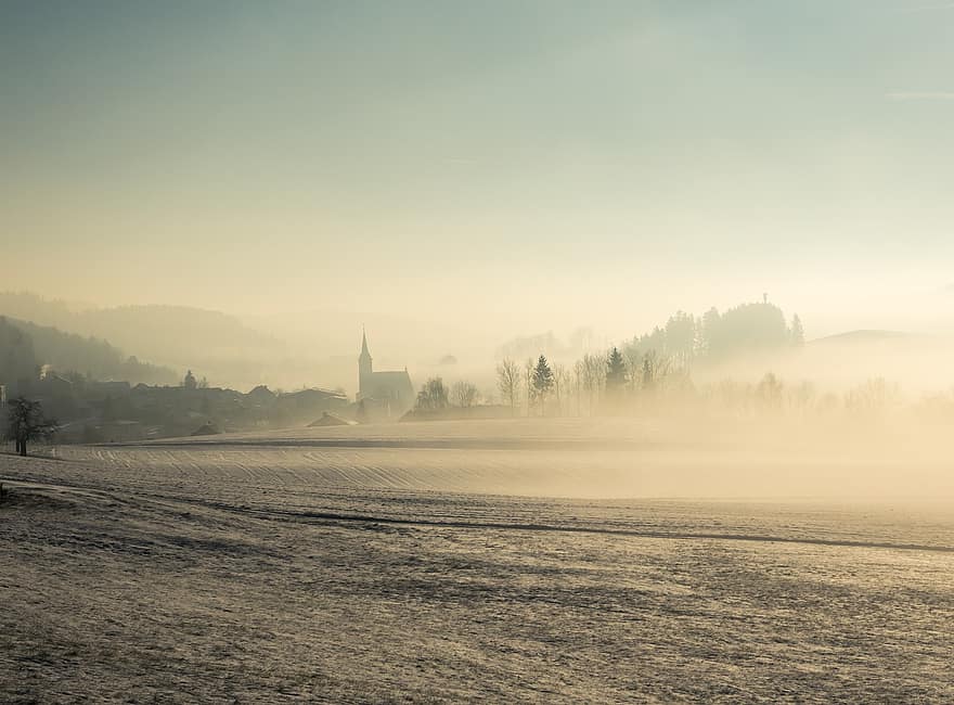 brouillard, lever du soleil, L'Autriche, Mühlviertel, paysage, Reichenau im Muhlkreis, haute autriche, L'Europe , scène rurale, arbre, Prairie