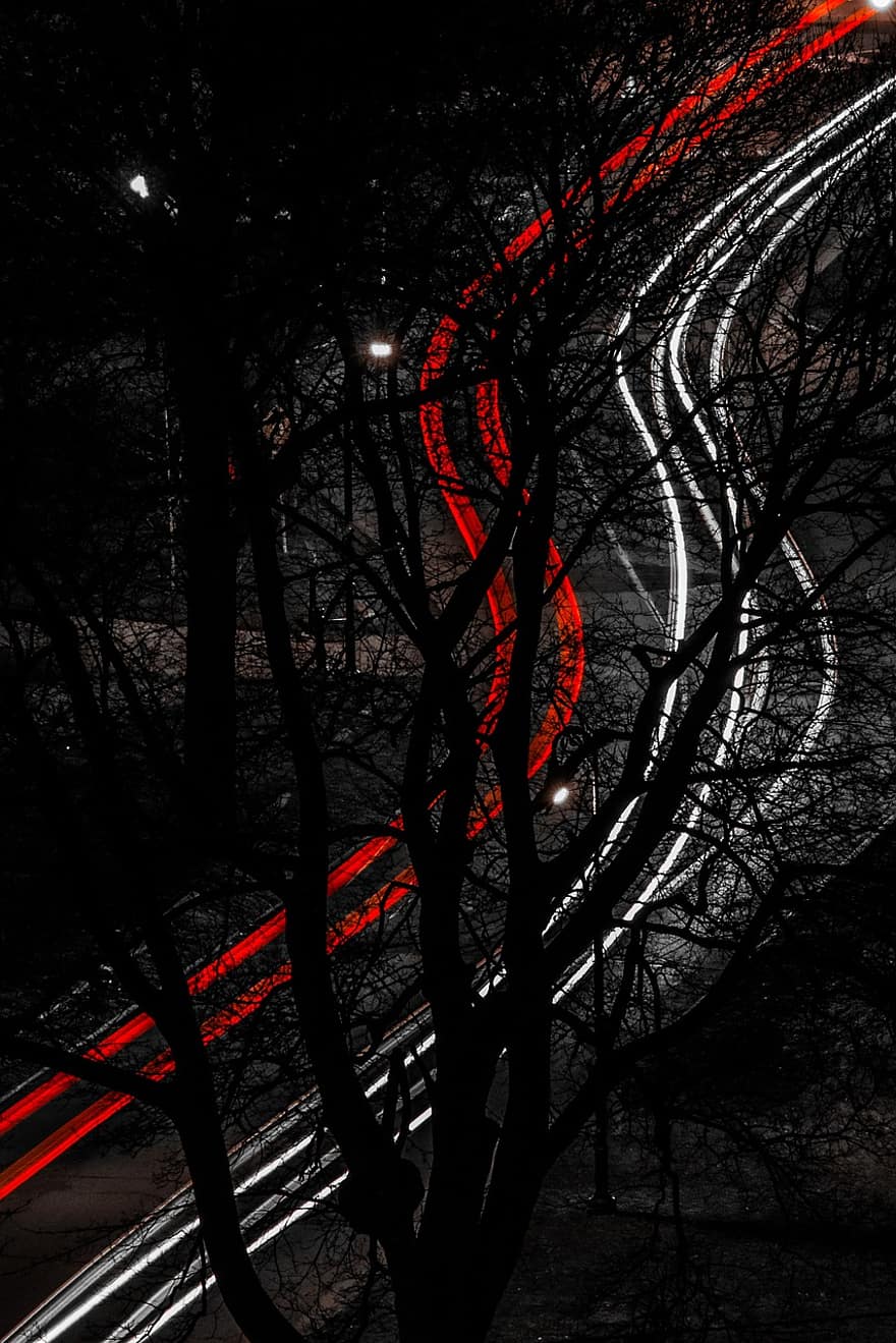 cây, đêm, chi nhánh, đường, tối, hoàng hôn, mùa đông, rừng, giao thông, ma quái, chiếu sáng