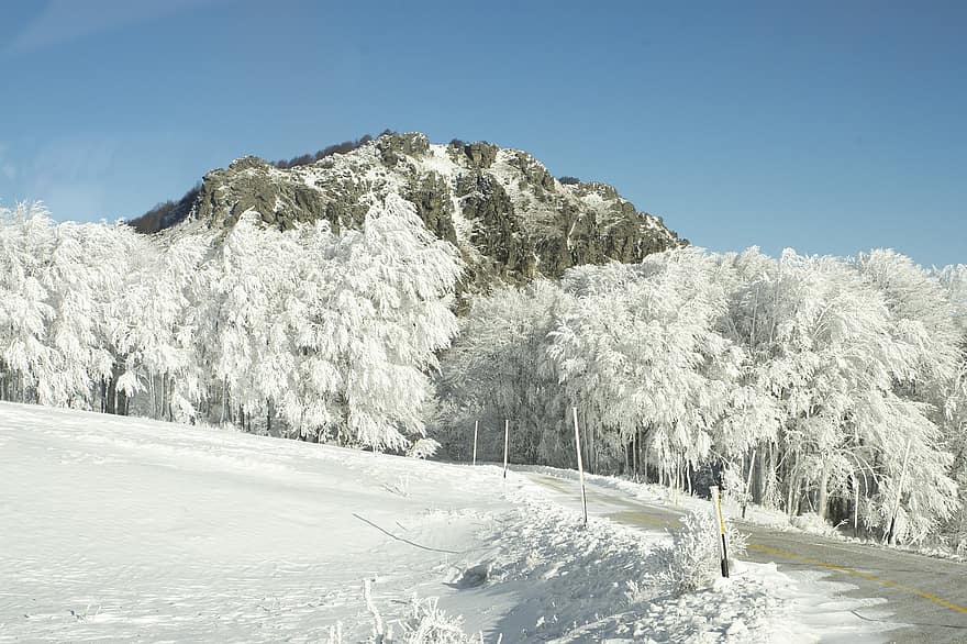 Winter, Bäume, Schnee, gefroren, Berg, Landschaft, Wald, Pfad, Winterwald, Wälder, Raureif