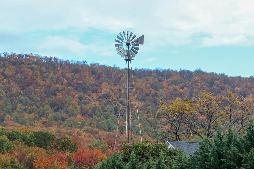 starý větrný mlýn, hora, podzim, stromy, větrný mlýn, les, krajina, venkov