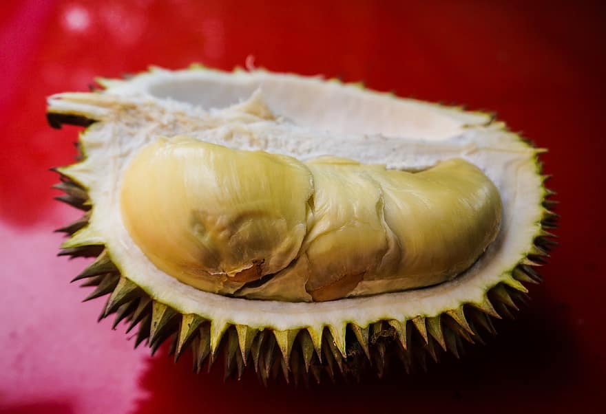 Durian, frukt, mat, färsk, hälsosam, mogen, organisk, ljuv, producera, skörda, lantbruk