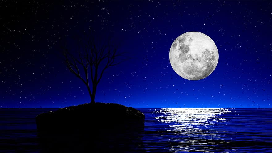 ezers, mēness, naktī, raksturs, koks, salu, pilnmēness, mēness gaisma, ūdens, zvaigznes, nakts debesis