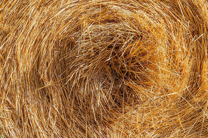 Straw, Straw Bales, Bale, Dry, Halme, Agriculture, Harvest, Field, Nature, Harvested