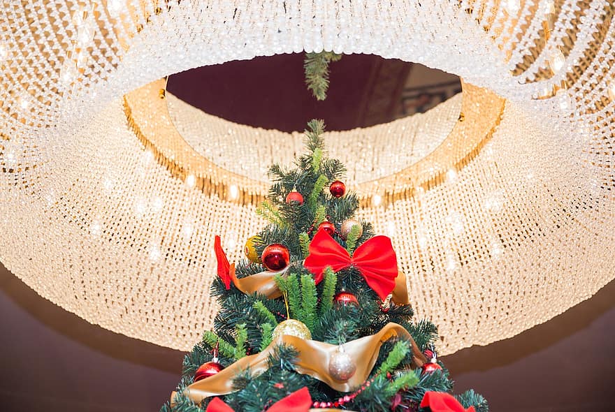lysekrone, juletræ, indretning, dekoration, parti, hotel loftet, fest