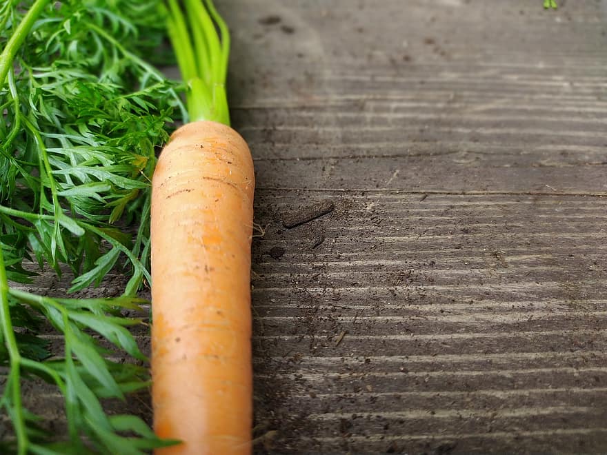 морков, зеленчук, жътва, продукция, корен от зеленчуци, храна, органичен, естествен, ядивен, листа, близък план
