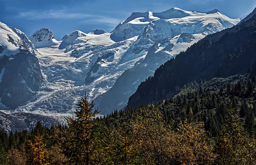 bjerge, gletscher, træer, Skov, monte rosa, Alperne, natur, efterår, naturskøn