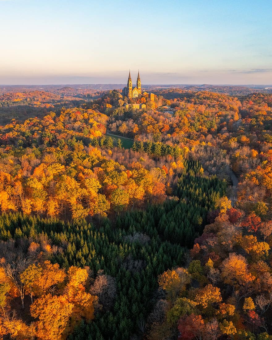 hrad, Příroda, podzim, sezóna, stromy, žlutá, krajina, les, strom, vícebarevné, list