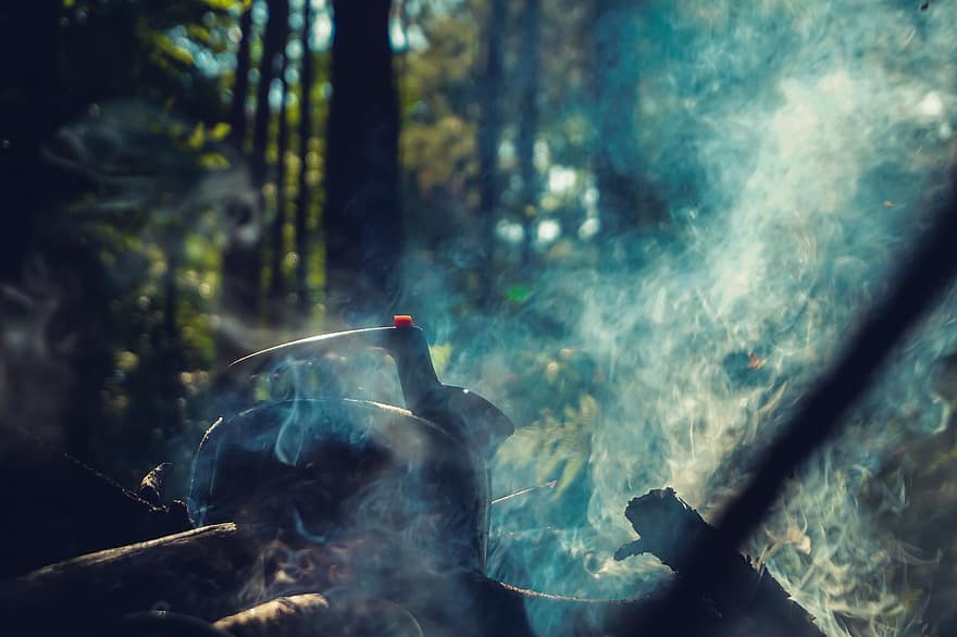 fumaça, fogueira, chaleira, luz solar, cozinhando, acampamento, floresta