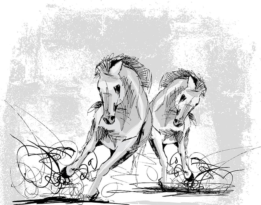 koně, zvířat, běh, koňovitých, savců, umění, výkres, portrét, savec