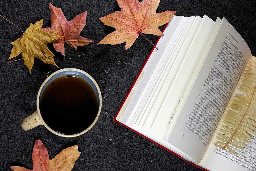 Книга, чай, кленов листа, падане, чаша, питие, Прочети, страници, литература, листа, Легнете плоско