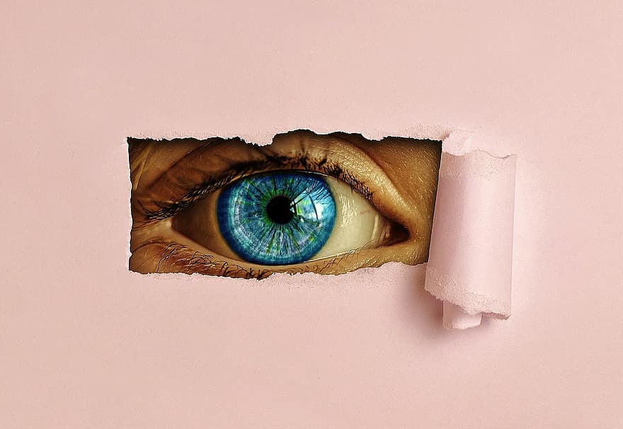 Eye, Watch, Paper, See, Iris, View, Vigilant