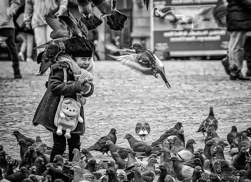 Amsterdam, dam plein, kind, duiven, duif, zwart en wit, culturen, zeemeeuw, stadsleven, vliegend, feeding