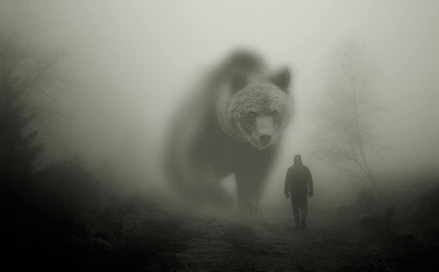 Tier, Bär, Fiktion, Mensch, Nebel, Wald, Tiere in freier Wildbahn, Gehen, Schwarz und weiß, Männer, ein Tier