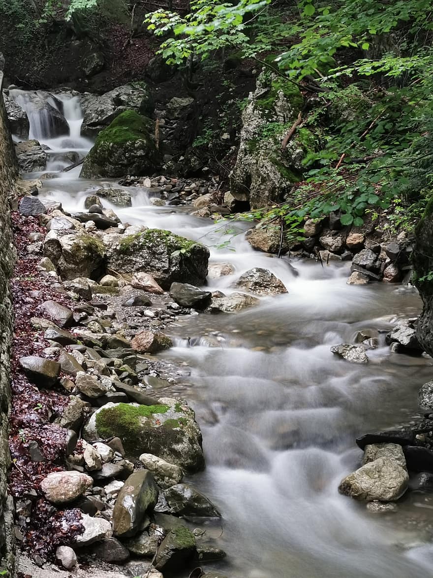 River, Rocks, Forest, Stream, Bach, Flow, Water Flow, Water, Cascade, Waterfall, Stones