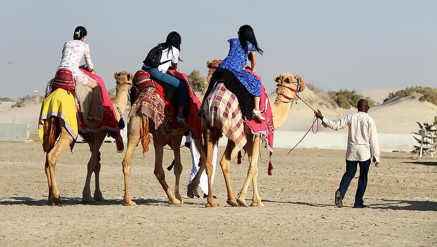 Περιήγηση στο Κατάρ, τουρίστες, καμήλα, βόλτα