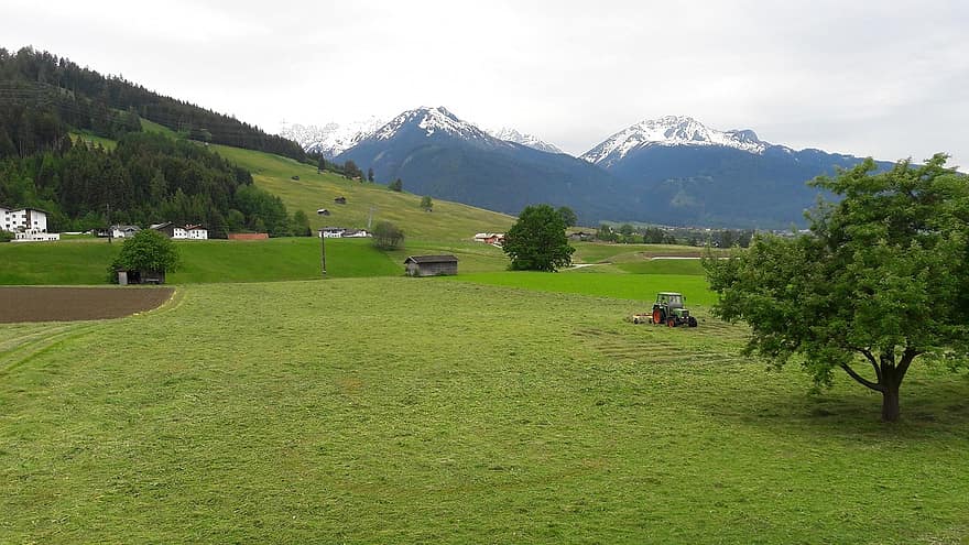 gunung, traktor, bidang, rumput, padang rumput, pohon, pegunungan Alpen, alpine, bukit, lembah, rumah
