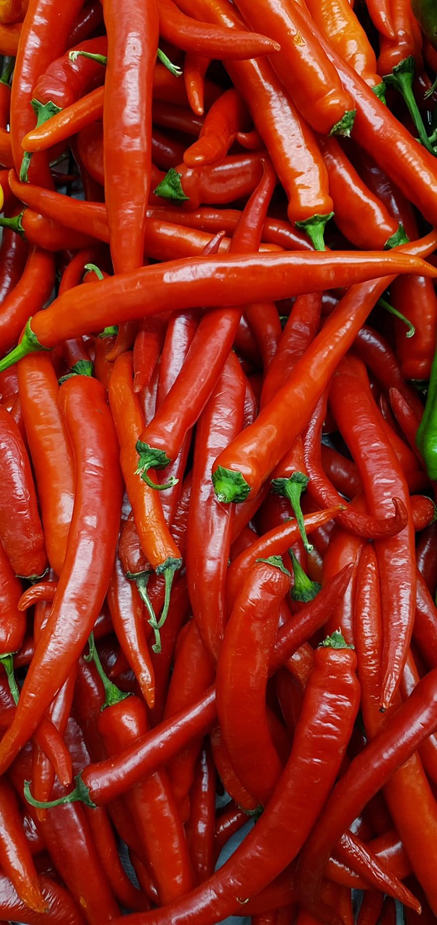 Chili paprika, zöldségek, fűszerek, fűszerezés