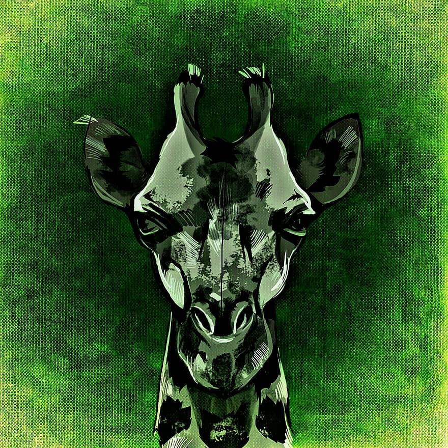 girafa, animal, selvagem, abstrato