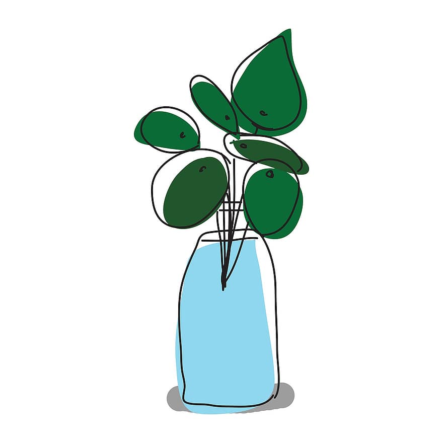 Pannekaker Plant, kinesisk pengeplant, Misjonsanlegg, tegning, clip art, blad, anlegg, illustrasjon, vektor, blomst, grønn farge