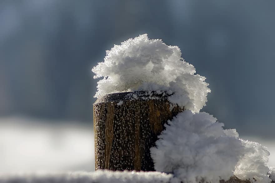 Snow, Wood, Winter, Cold, Ice, Wooden Pole, Wintry, Snowy
