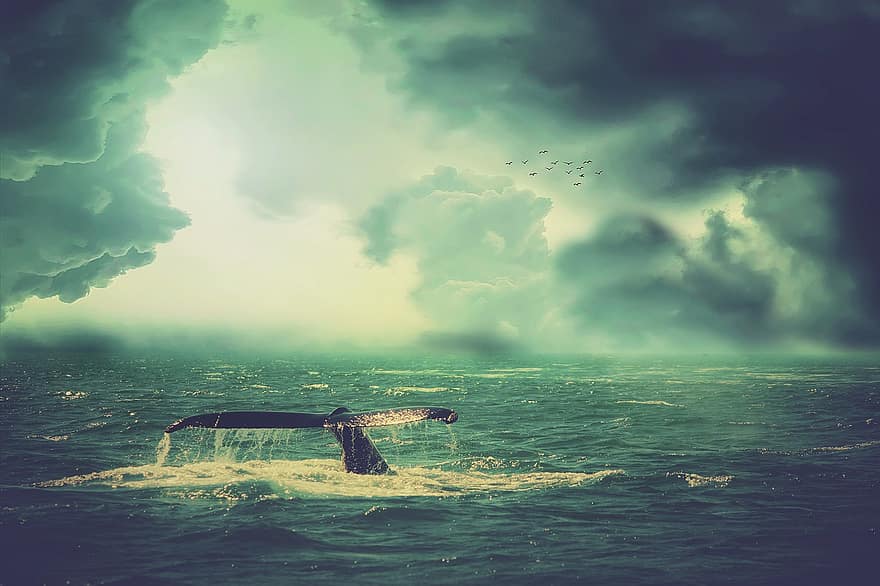 bálna, tenger, hullámok, madarak, ég, felhők, fantázia, vihar
