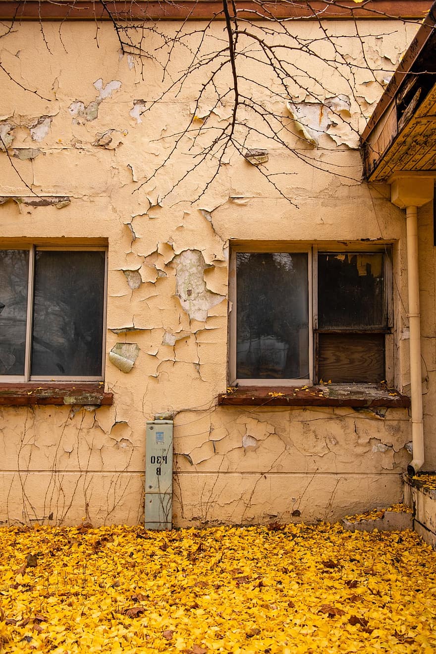 Herbst, altes Gebäude, verlassenes Gebäude, die Architektur, alt, Fenster, schmutzig, Wand, Gebäudefunktion, Gebäudehülle, verlassen