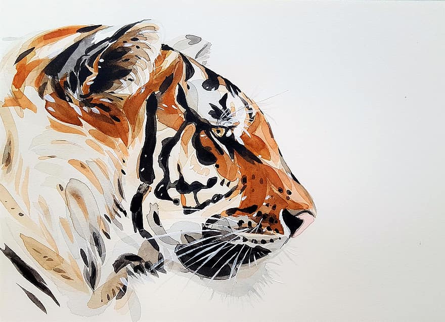 tigre, animale, natura, pittura, acquerello, profilo, arancia, nero, il capo del